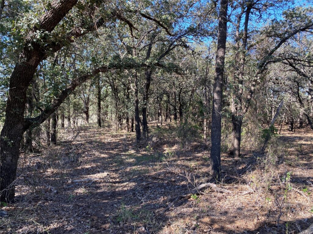 Properties TX Home Land Realty